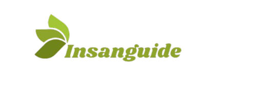 insanguide logo